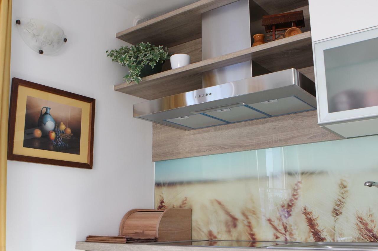 Apartma Lipa 莫斯特拉纳 外观 照片