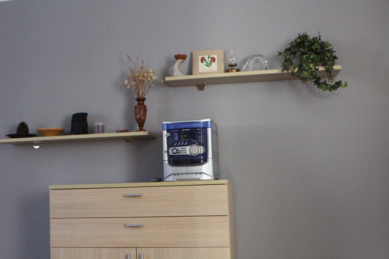 Apartma Lipa 莫斯特拉纳 外观 照片